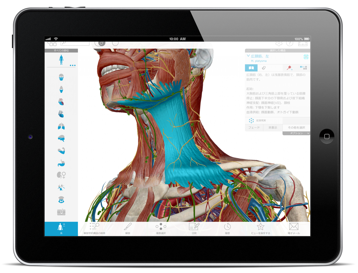 Visible Body Human Anatomy Atlas 7.4.01 for windows