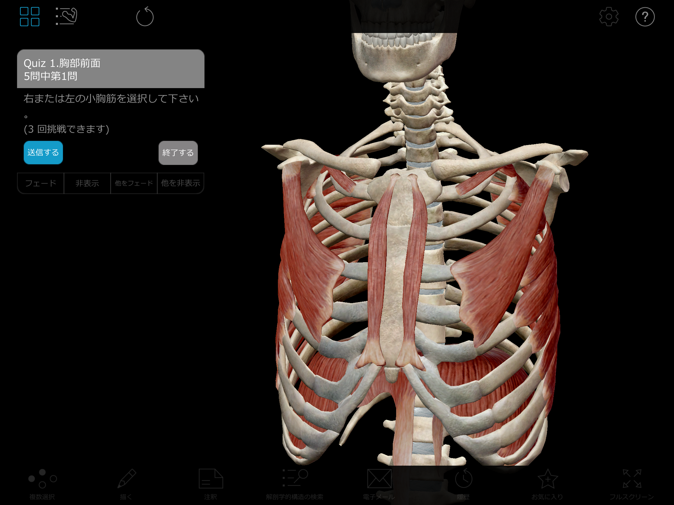 70以上 筋肉 3d 無料